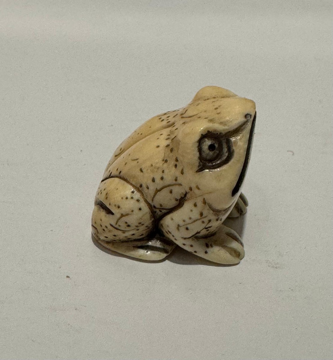 Netsuke en ivoire. Grenouille. Japon époque Meiji (1868-1912 )-photo-3