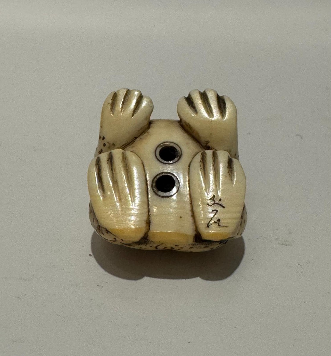 Netsuke en ivoire. Grenouille. Japon époque Meiji (1868-1912 )-photo-4
