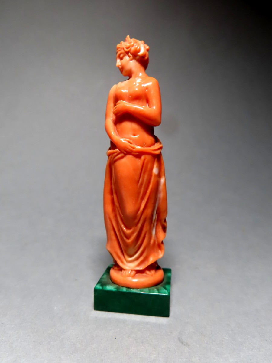 Nymphe dénudée en corail.-photo-2