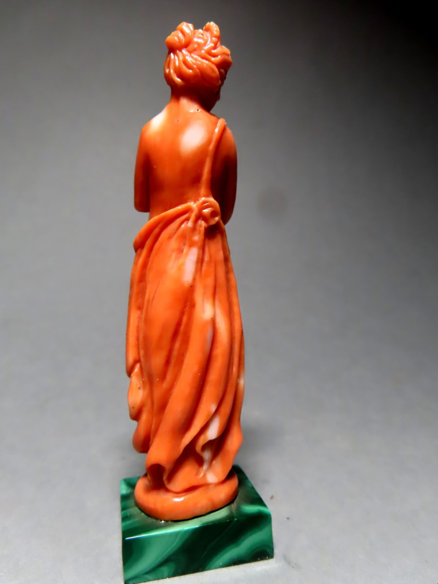 Nymphe dénudée en corail.-photo-4