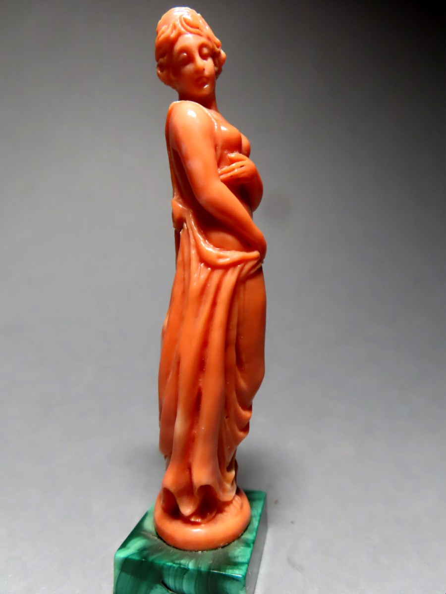 Nymphe dénudée en corail.-photo-2