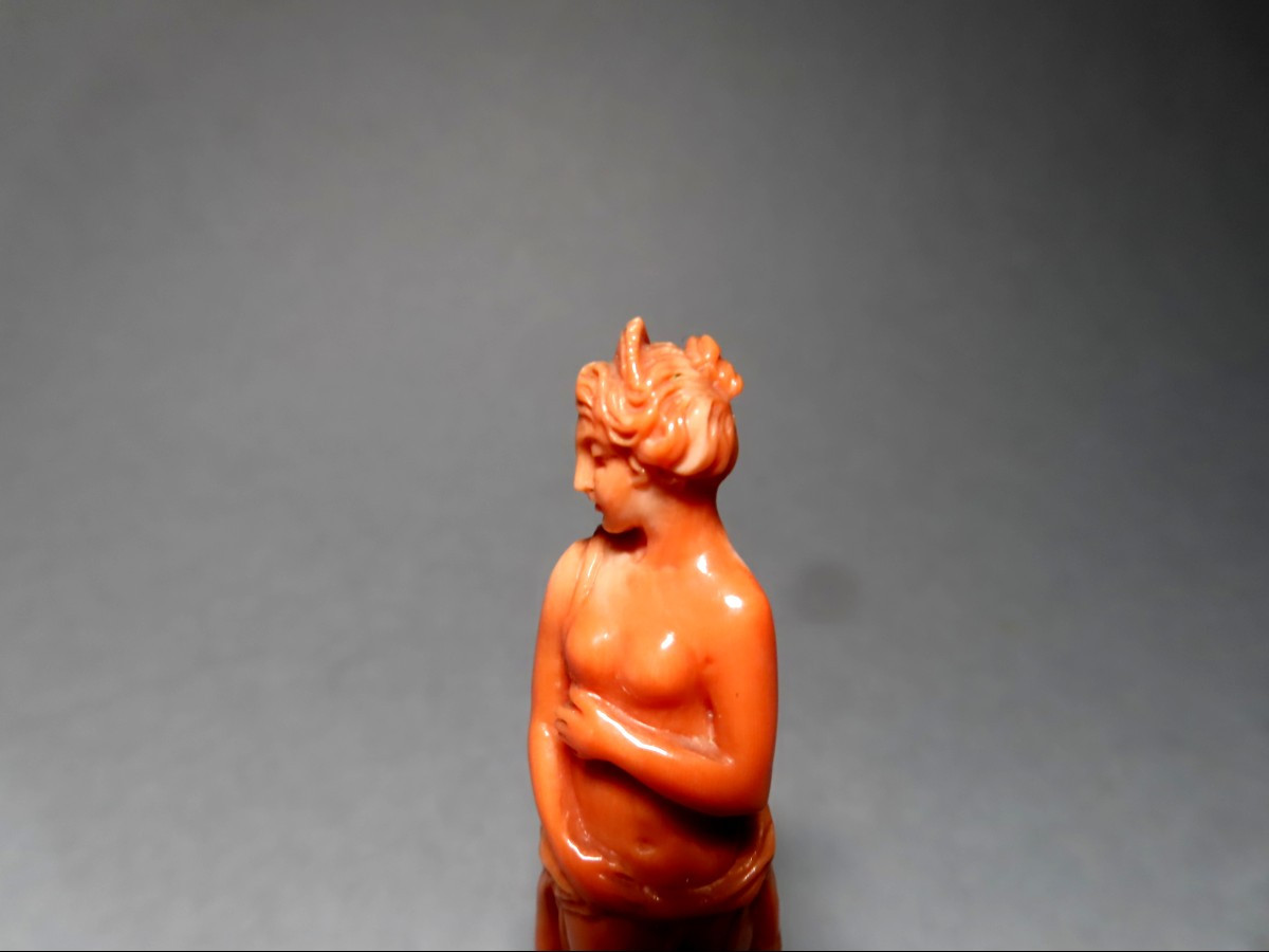 Nymphe dénudée en corail.-photo-3