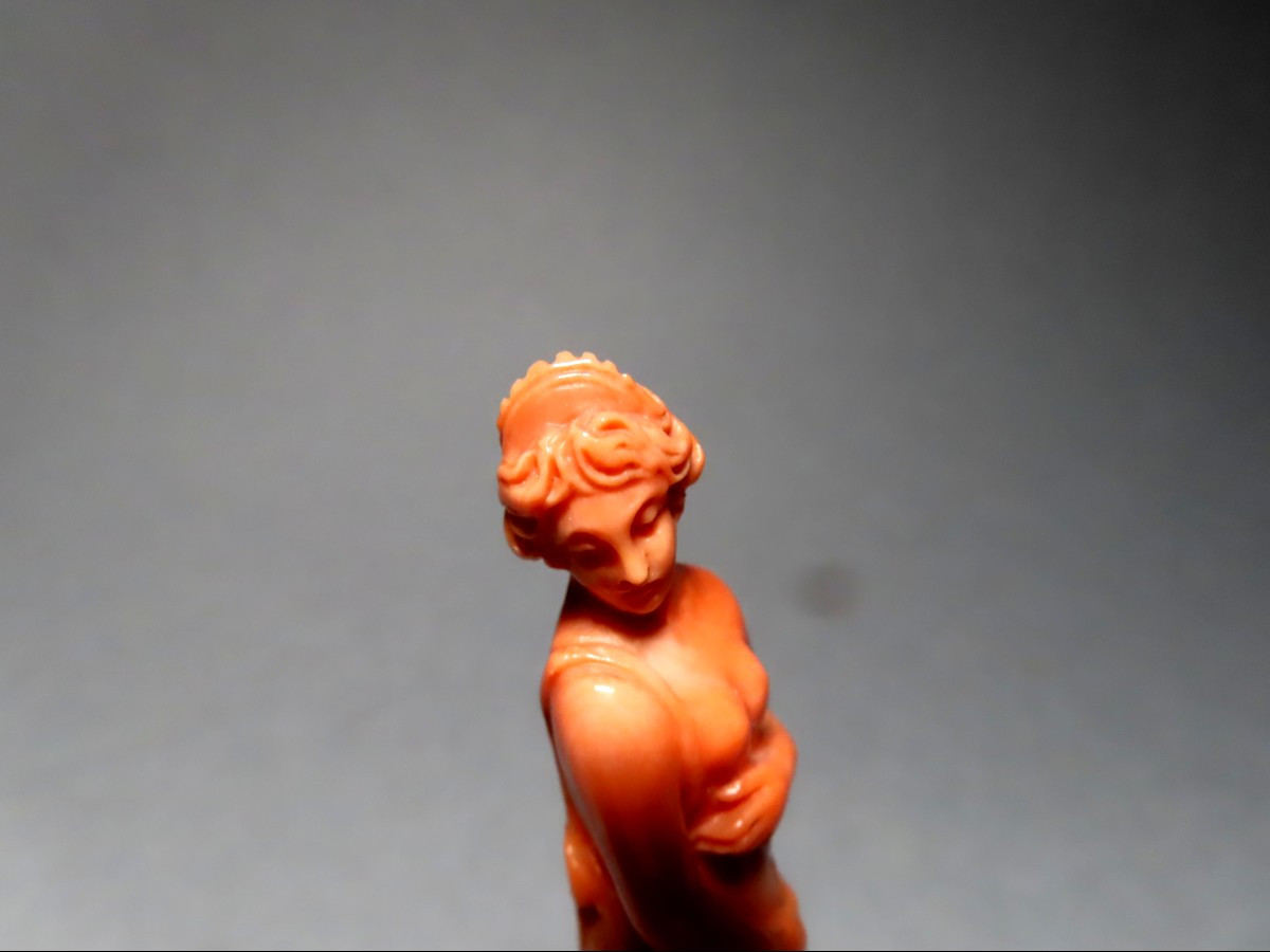 Nymphe dénudée en corail.-photo-4