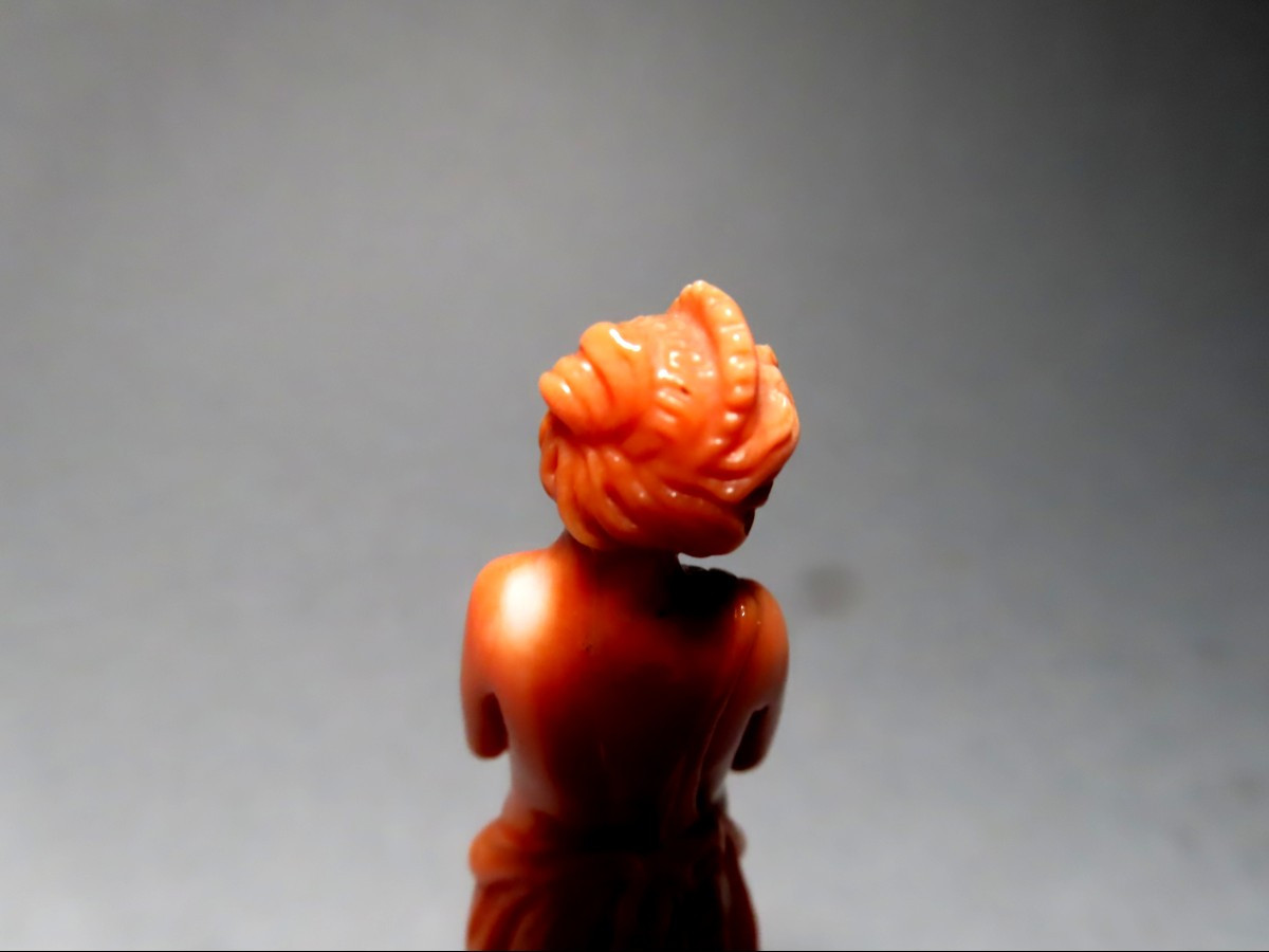 Nymphe dénudée en corail.-photo-5