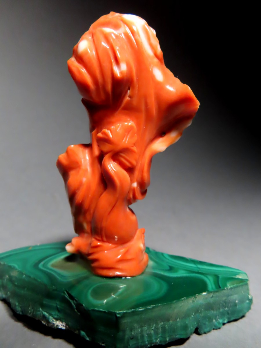 Coral Nymph. Amphitrite, Goddess Of The Sea.-photo-1