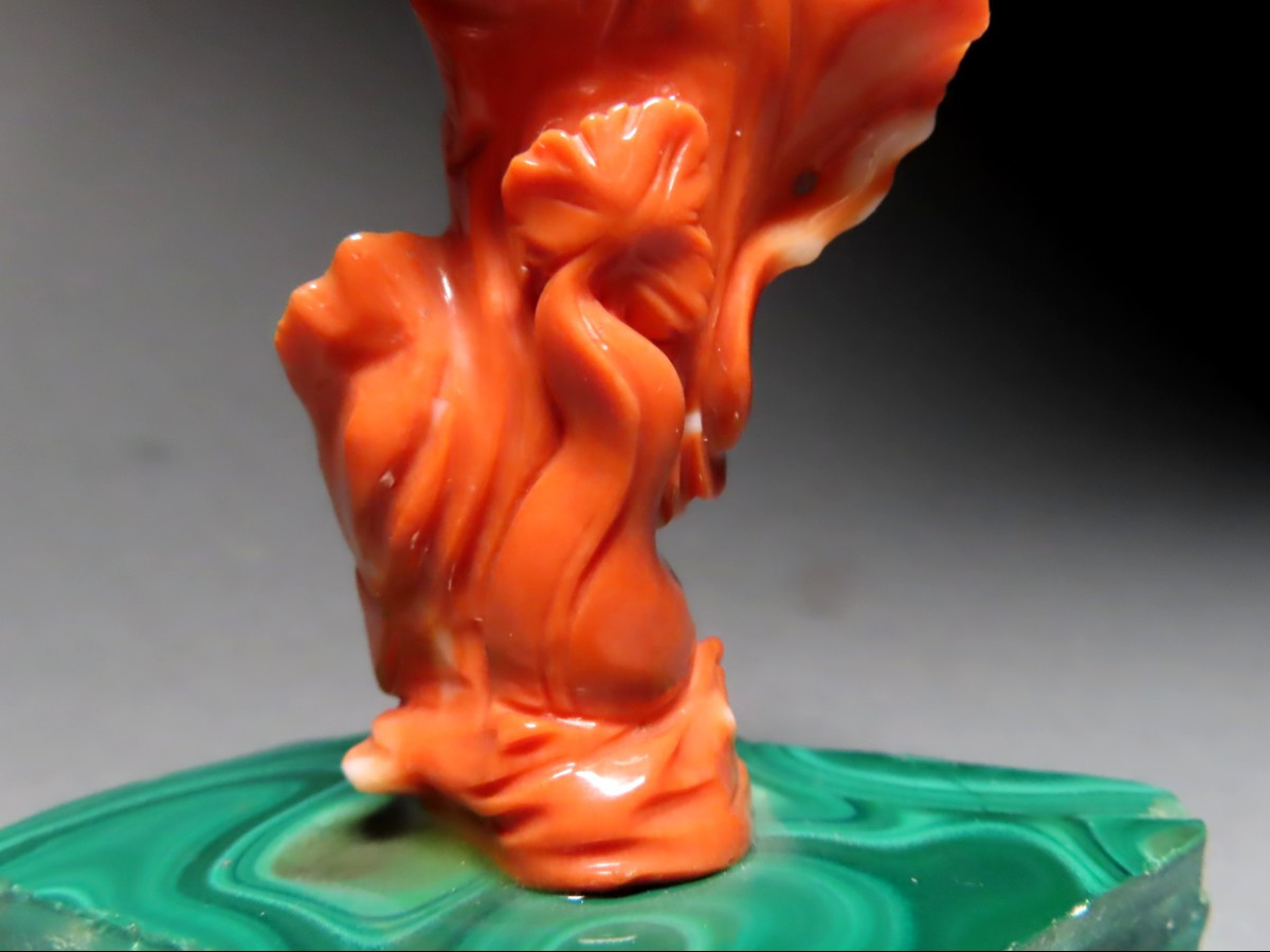 Coral Nymph. Amphitrite, Goddess Of The Sea.-photo-7