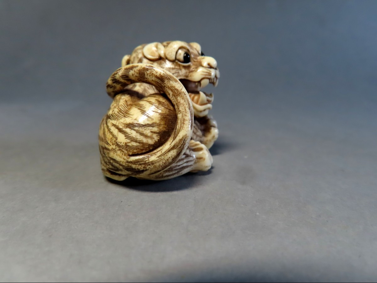 Netsuke en ivoire. Tigre rugissant. Japon époque Meiji (1868-1912 )-photo-1