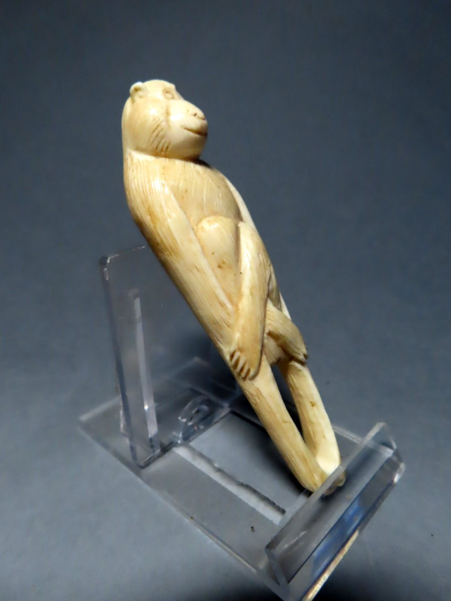 Netsuke In Marine Ivory. Monkey Or Tenaga. Japan Meiji Period (1868-1912)-photo-3