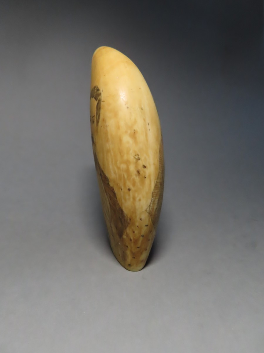 Scrimshaw en dent de cachalot.  Couple de bourgeois. XIXème-photo-2