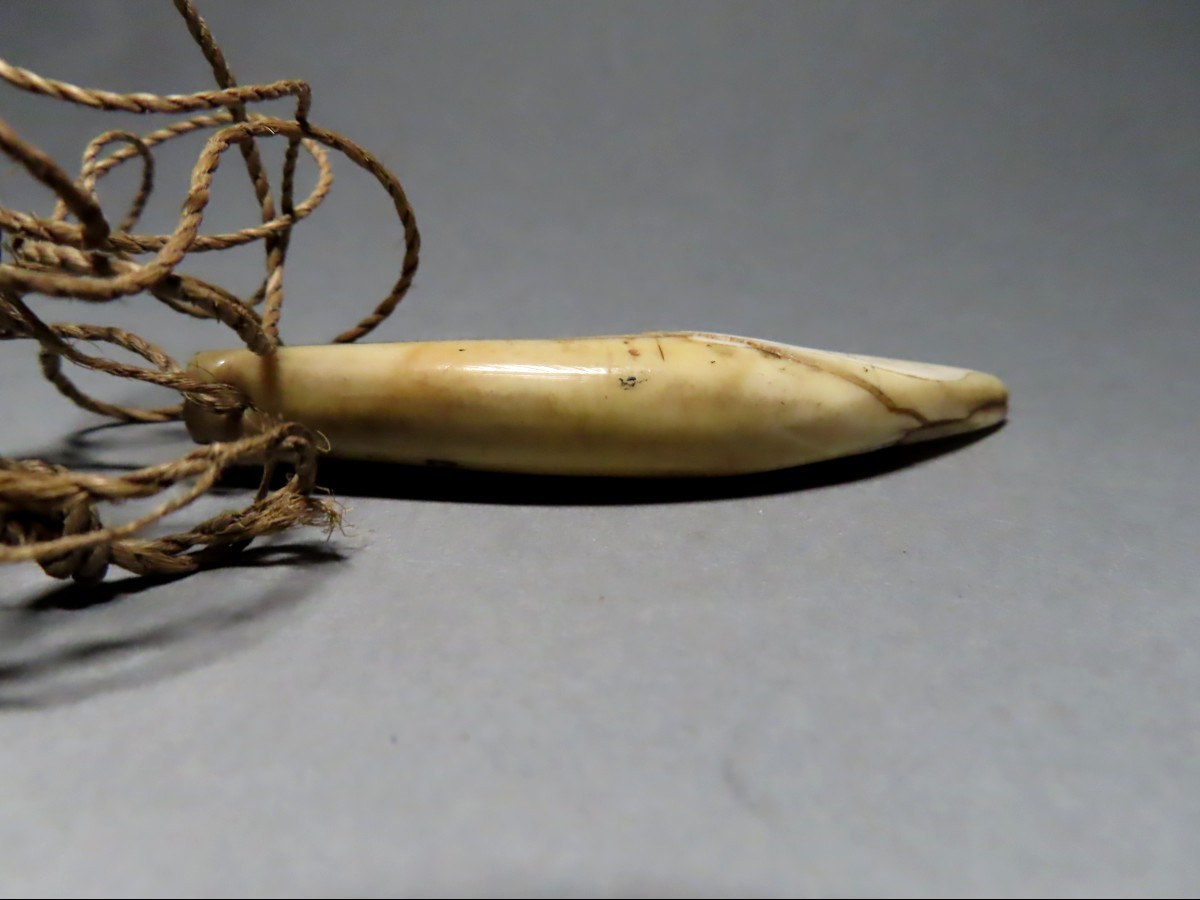 Pendentif en dent de phacochère. Augustus Pitt Rivers 1893.-photo-4