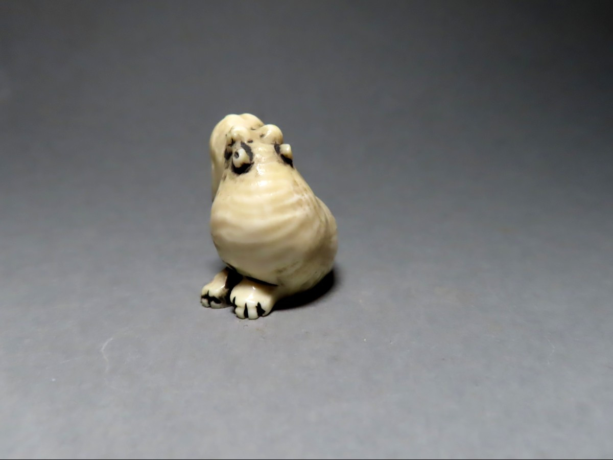 Netsuke en ivoire. Hippopotame. Japon époque Meiji (1868-912 )-photo-2