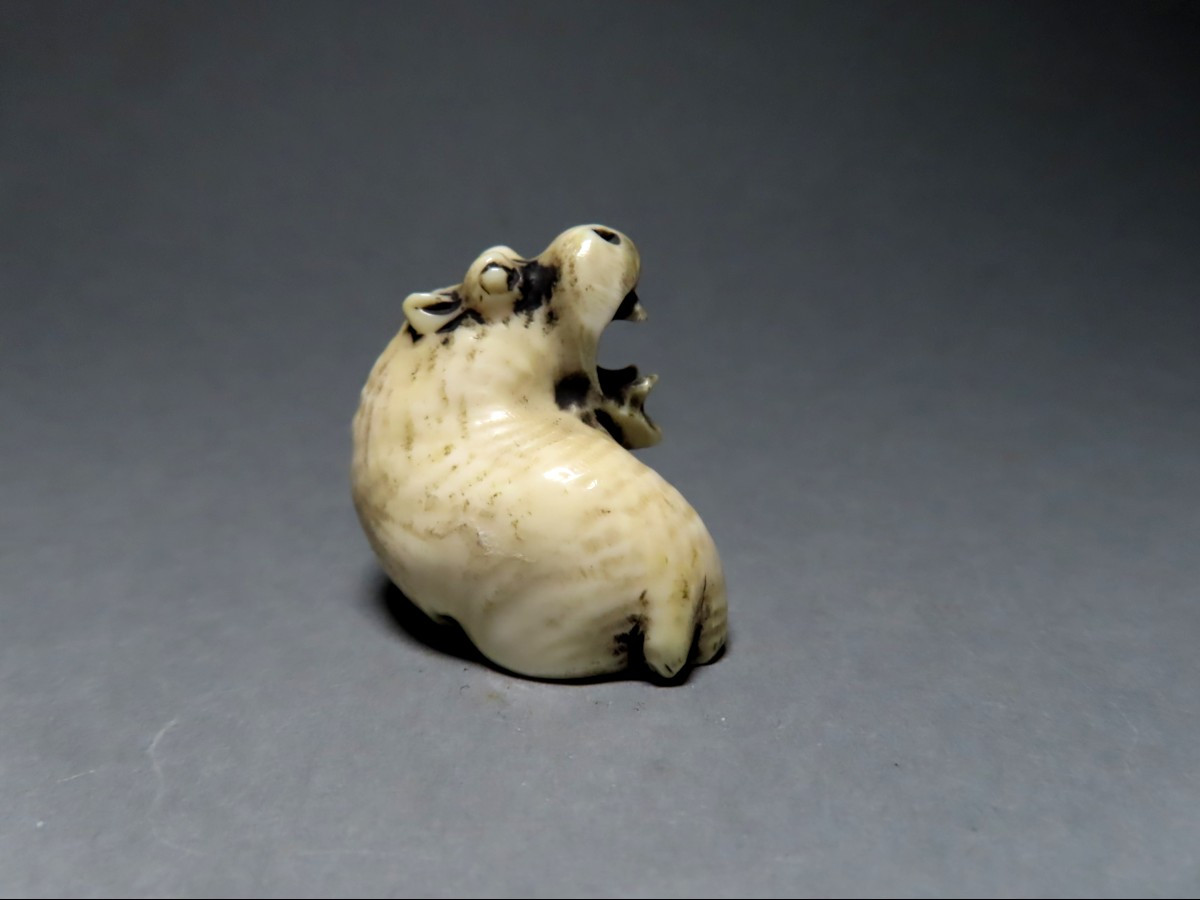 Netsuke en ivoire. Hippopotame. Japon époque Meiji (1868-912 )-photo-3