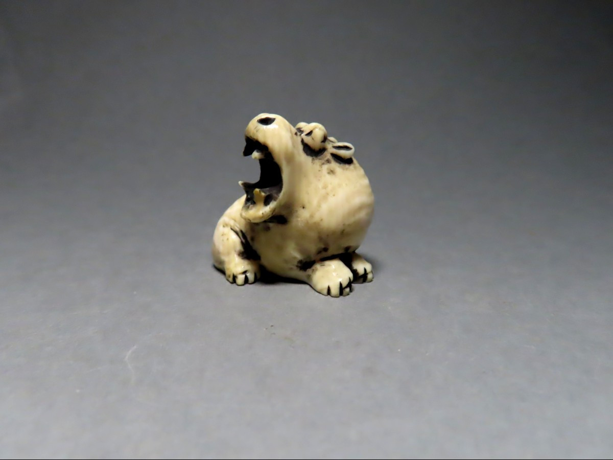 Netsuke en ivoire. Hippopotame. Japon époque Meiji (1868-912 )