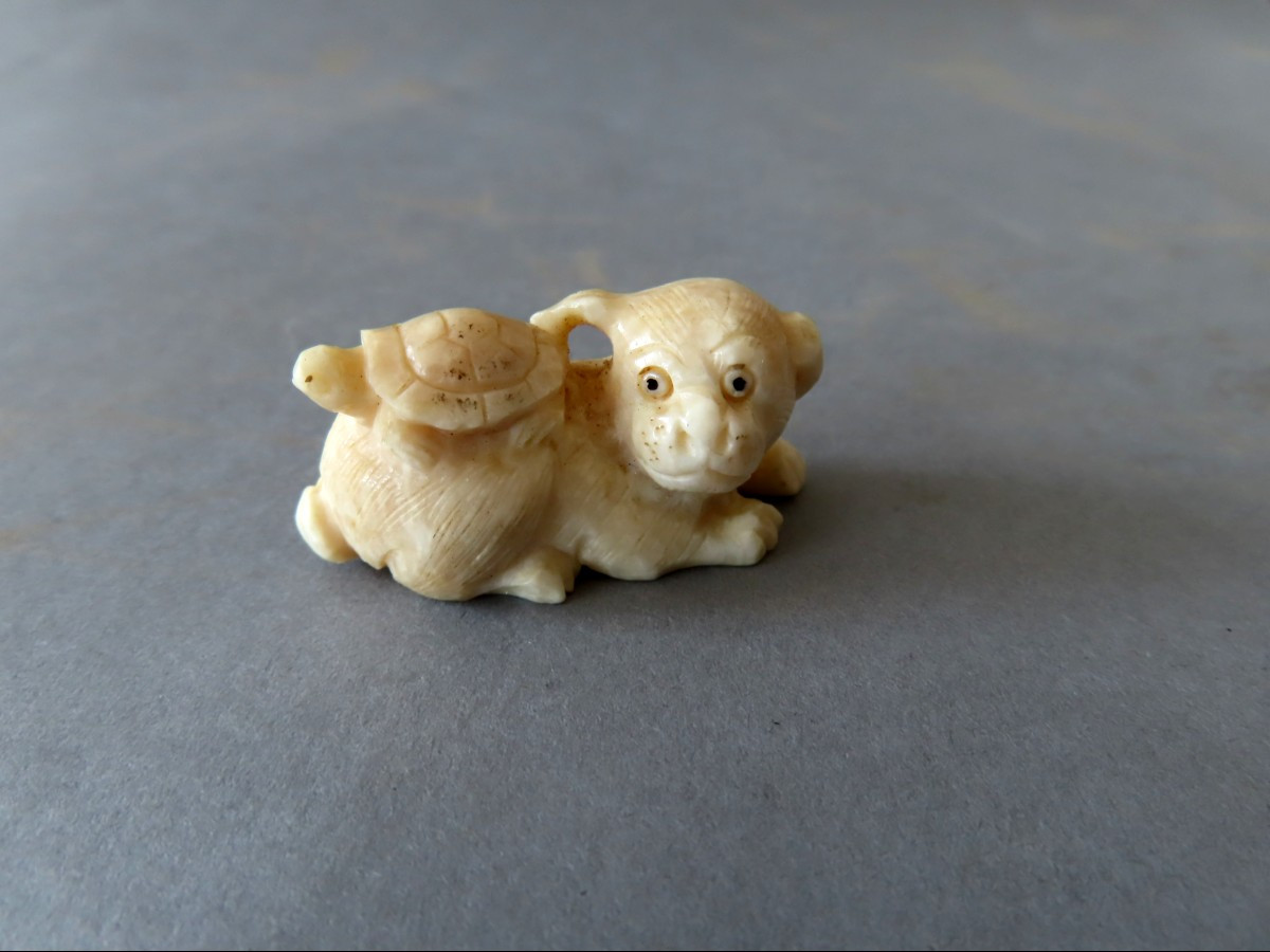 Marine Ivory Netsuke. The Puppy And The Turtle. Japan Meiji Period (1868-1912 )-photo-2