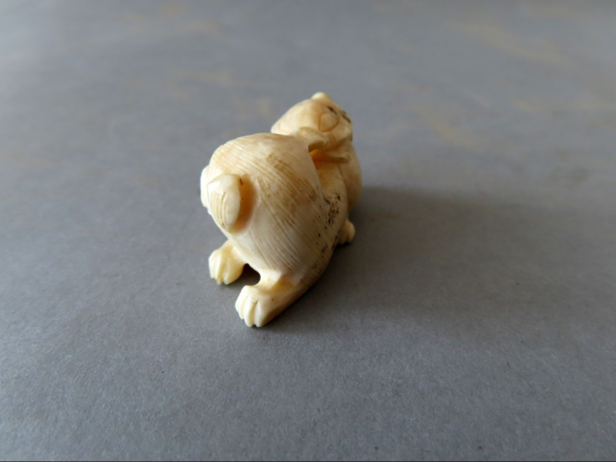 Marine Ivory Netsuke. The Puppy And The Turtle. Japan Meiji Period (1868-1912 )-photo-3