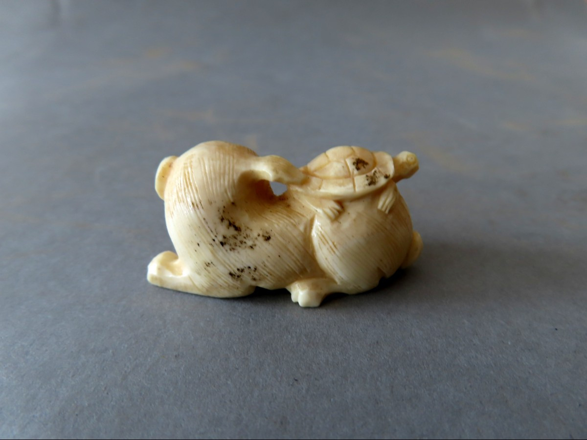 Marine Ivory Netsuke. The Puppy And The Turtle. Japan Meiji Period (1868-1912 )-photo-4