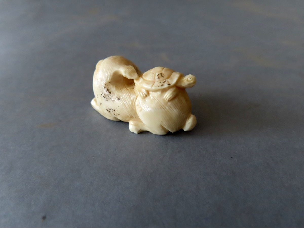 Marine Ivory Netsuke. The Puppy And The Turtle. Japan Meiji Period (1868-1912 )-photo-1