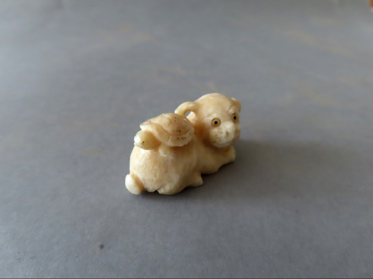 Marine Ivory Netsuke. The Puppy And The Turtle. Japan Meiji Period (1868-1912 )-photo-2