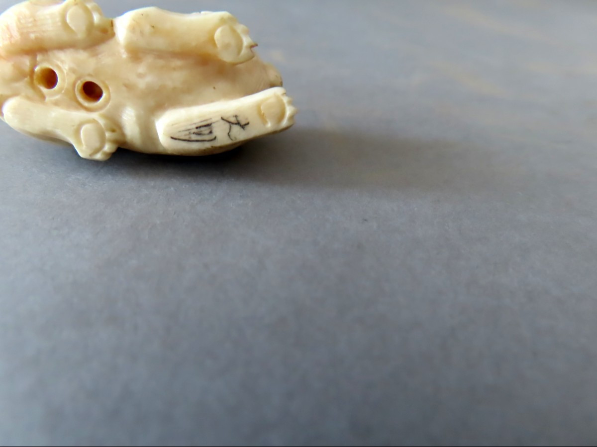 Marine Ivory Netsuke. The Puppy And The Turtle. Japan Meiji Period (1868-1912 )-photo-4