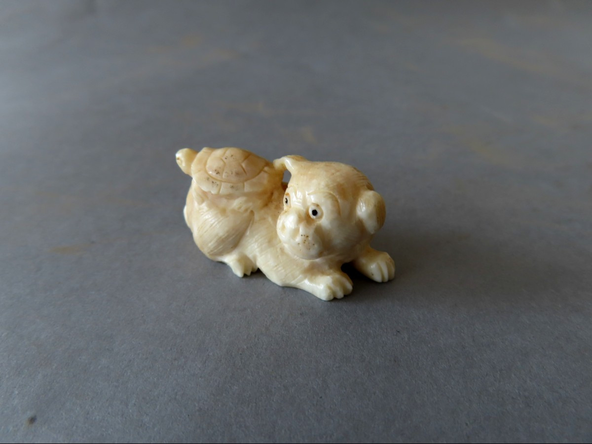 Marine Ivory Netsuke. The Puppy And The Turtle. Japan Meiji Period (1868-1912 )