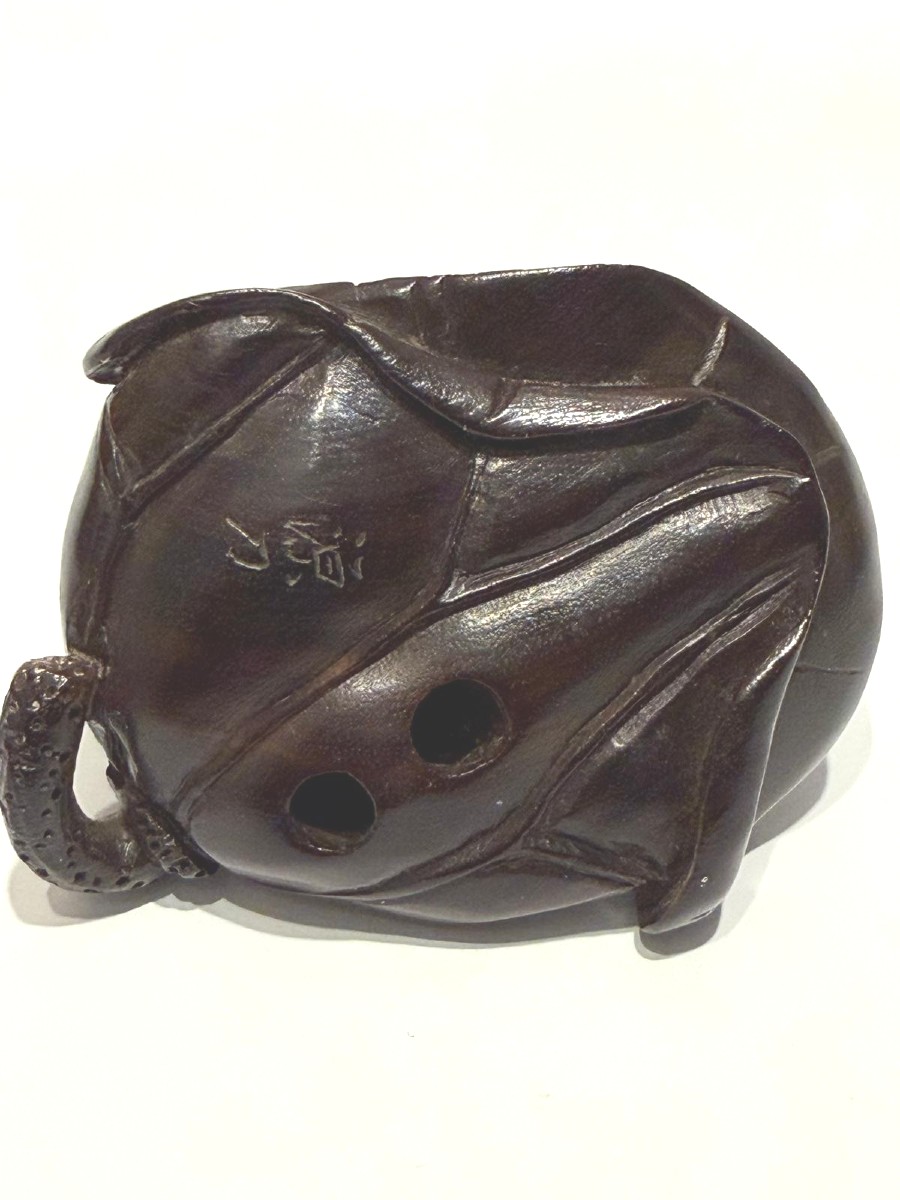 Zitan Wood Netsuke. Iron Arm Between Frogs. Japan Meiji Period (1868-1912 )-photo-4