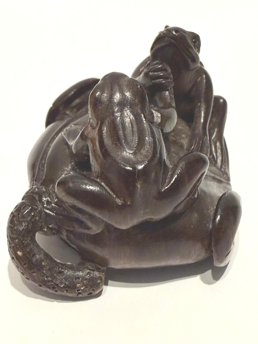 Zitan Wood Netsuke. Iron Arm Between Frogs. Japan Meiji Period (1868-1912 )-photo-1