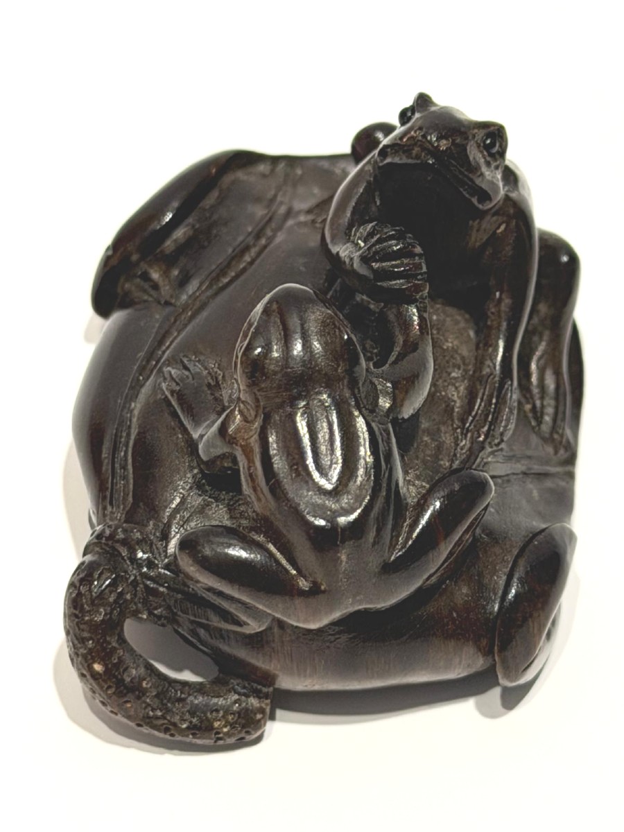 Zitan Wood Netsuke. Iron Arm Between Frogs. Japan Meiji Period (1868-1912 )-photo-3