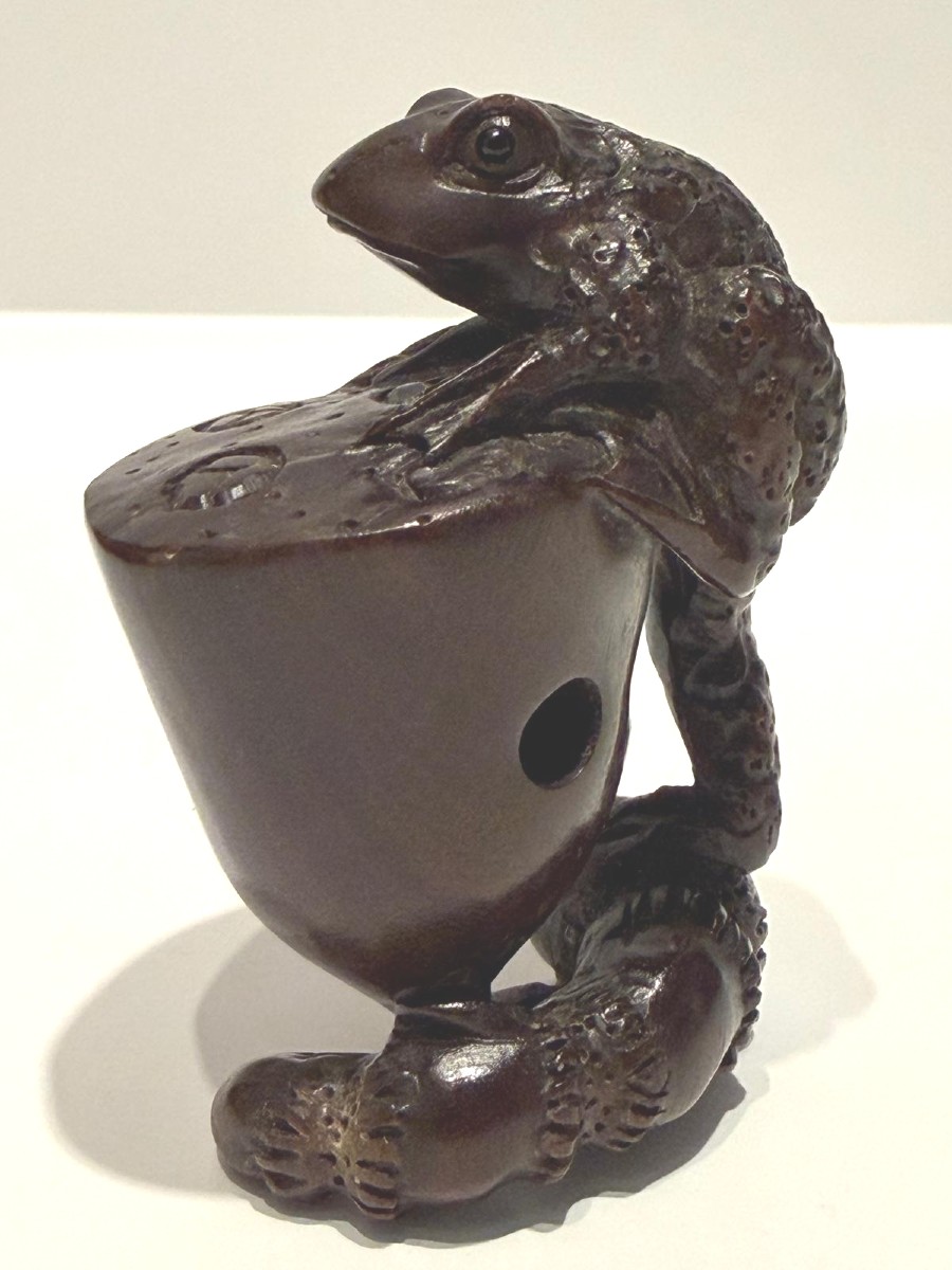 Zitan Wood Netsuke.   Frog With Lotus Bud. Japan Meiji Period (1868-1912 )-photo-2