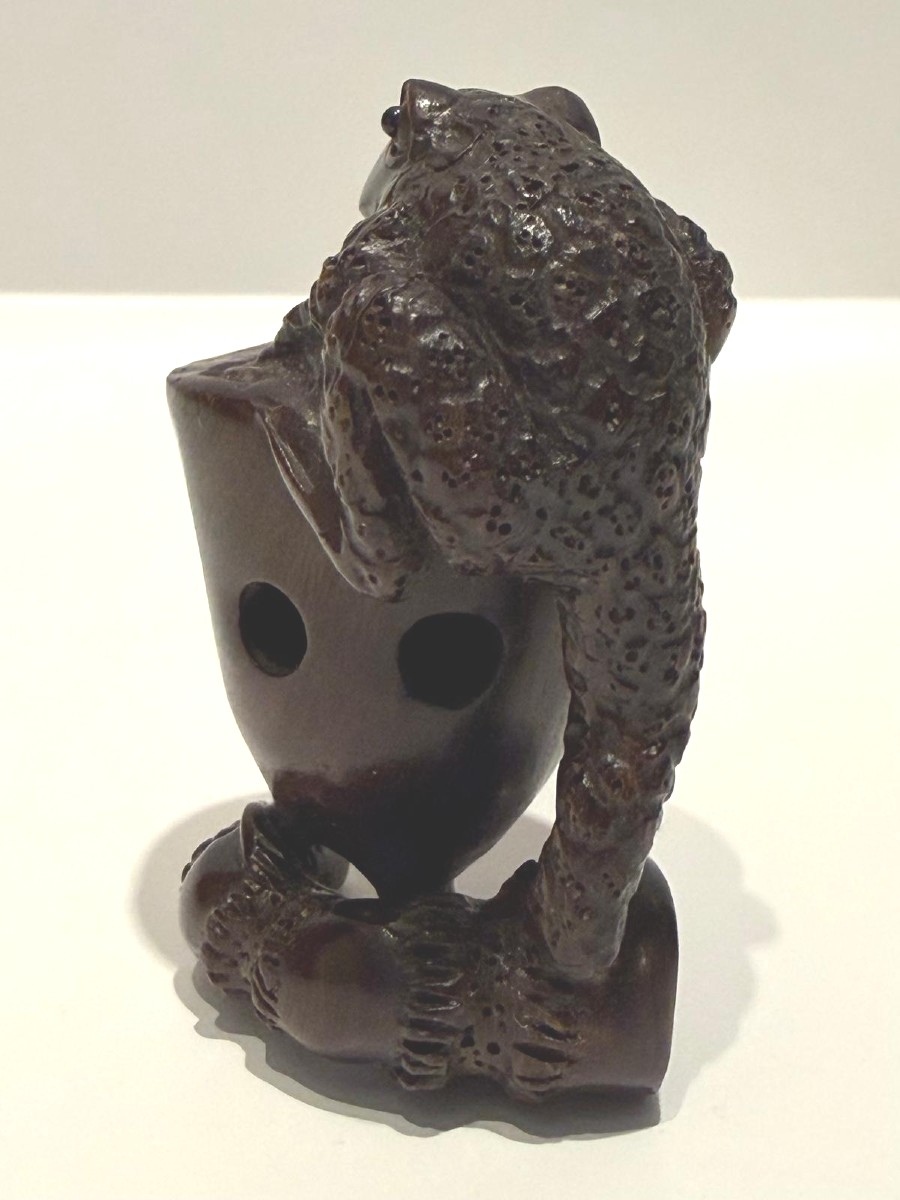 Zitan Wood Netsuke.   Frog With Lotus Bud. Japan Meiji Period (1868-1912 )-photo-3