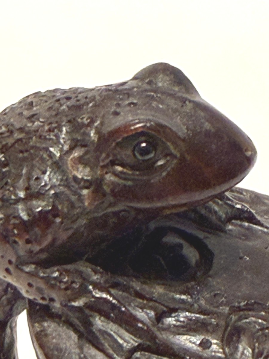 Zitan Wood Netsuke.   Frog With Lotus Bud. Japan Meiji Period (1868-1912 )-photo-1