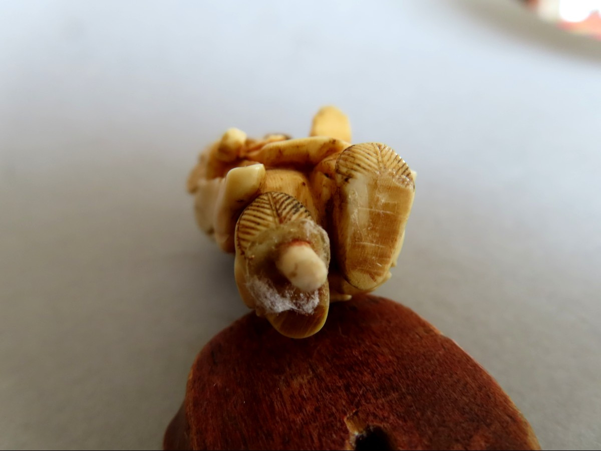 Okimono In Marine Ivory. Ebisu Palaver. Japan Meiji Period (1868-1912 )-photo-3