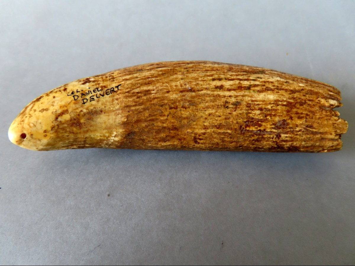 Tabua, Sperm Whale Tooth, Ivory. Polynesia, 19th Century.-photo-2