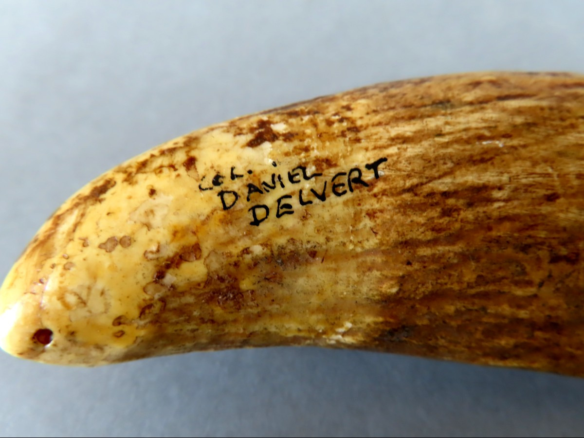 Tabua, Sperm Whale Tooth, Ivory. Polynesia, 19th Century.-photo-3