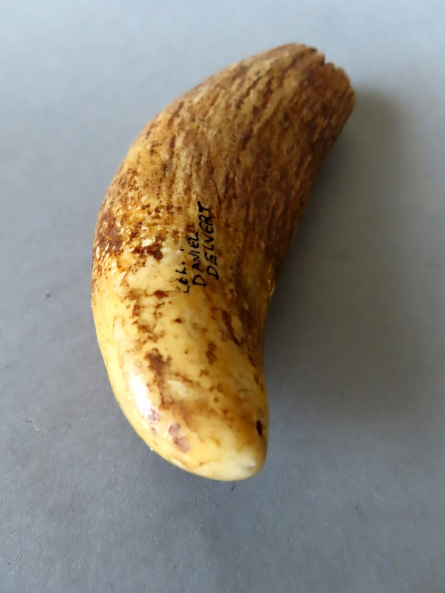 Tabua, Sperm Whale Tooth, Ivory. Polynesia, 19th Century.-photo-1