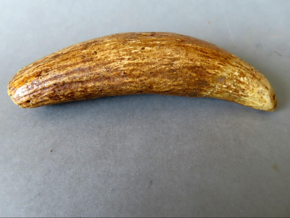 Tabua, Sperm Whale Tooth, Ivory. Polynesia, 19th Century.