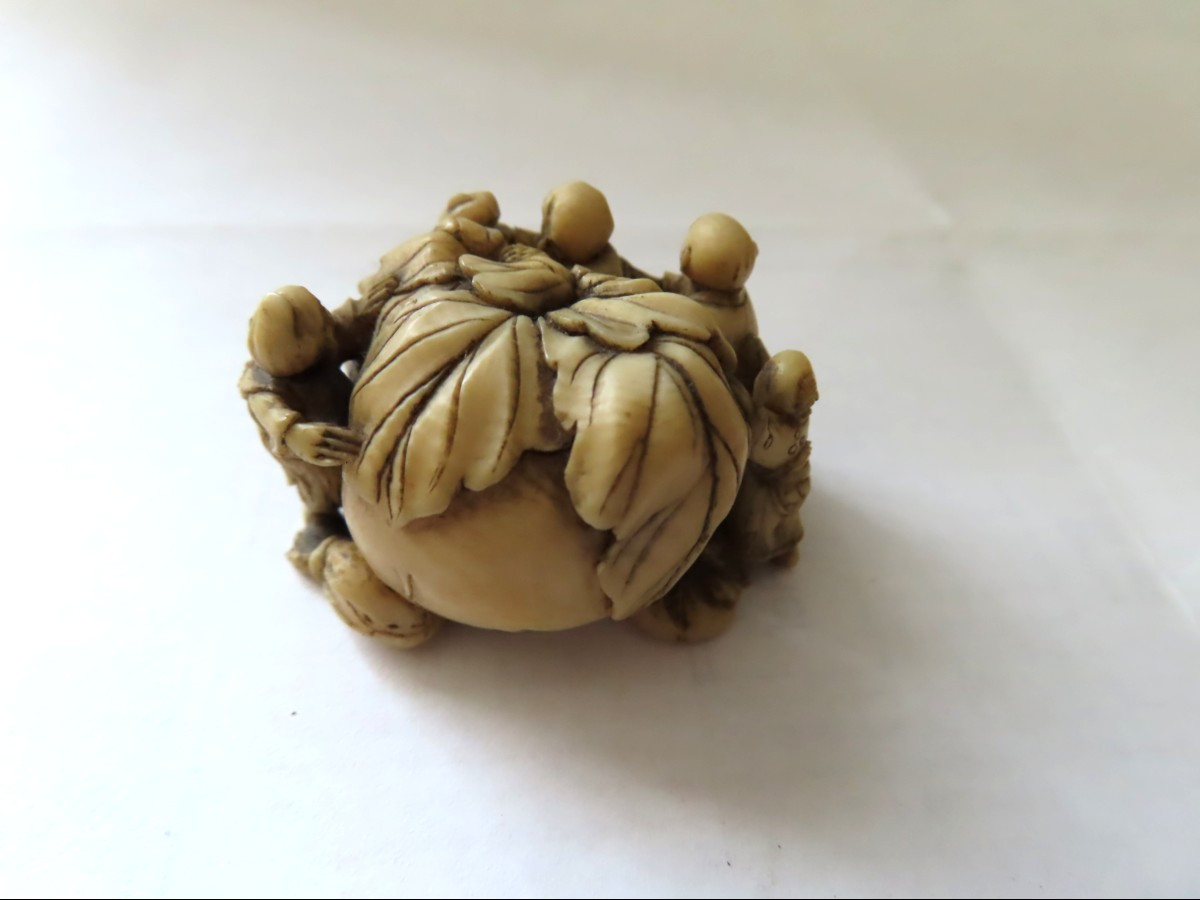Netsuke en ivoire. Les  petits hommes au kaki. Japon époque Meiji (1868-1912 )-photo-3