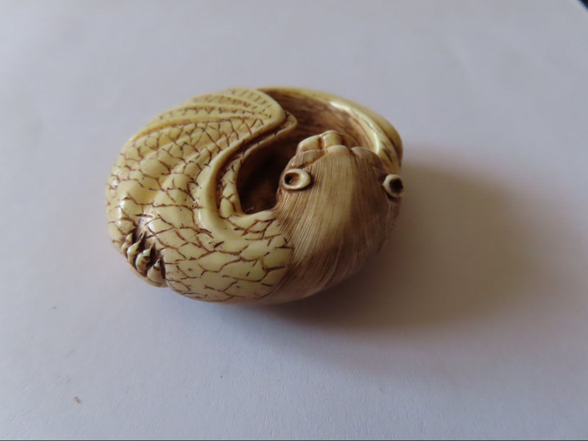Netsuke à la chauve-souris. Signé  Kutani Yoshi + Kakihan. Japon-photo-1