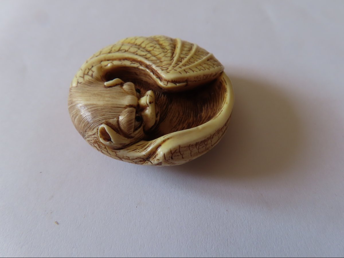 Netsuke à la chauve-souris. Signé  Kutani Yoshi + Kakihan. Japon-photo-2