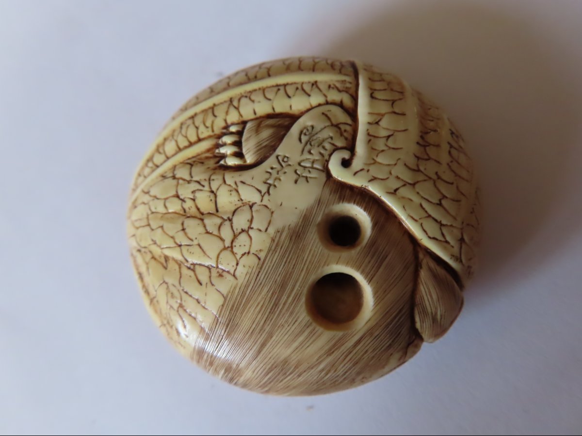 Netsuke à la chauve-souris. Signé  Kutani Yoshi + Kakihan. Japon-photo-3