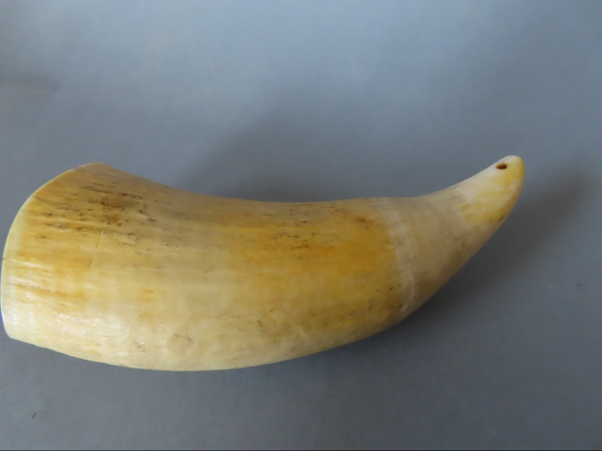 Scrimshaw. Tabua Carved From A Sperm Whale Tooth. Fiji, 19th Century-photo-3