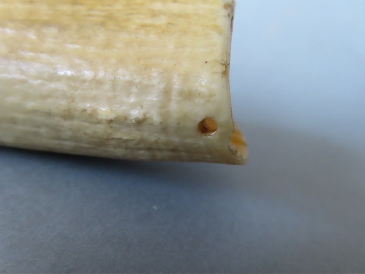 Scrimshaw. Tabua Carved From A Sperm Whale Tooth. Fiji, 19th Century-photo-4