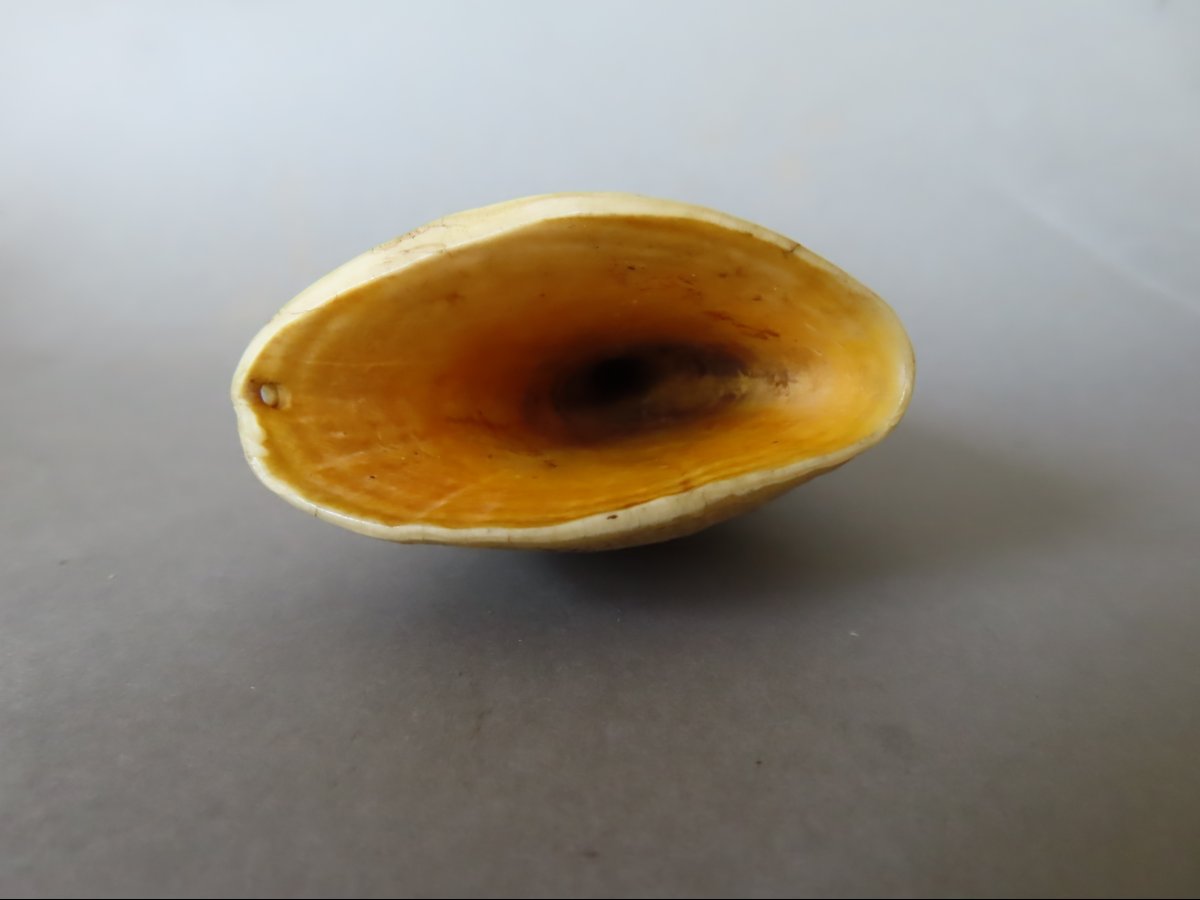 Scrimshaw. Tabua Carved From A Sperm Whale Tooth. Fiji, 19th Century-photo-3