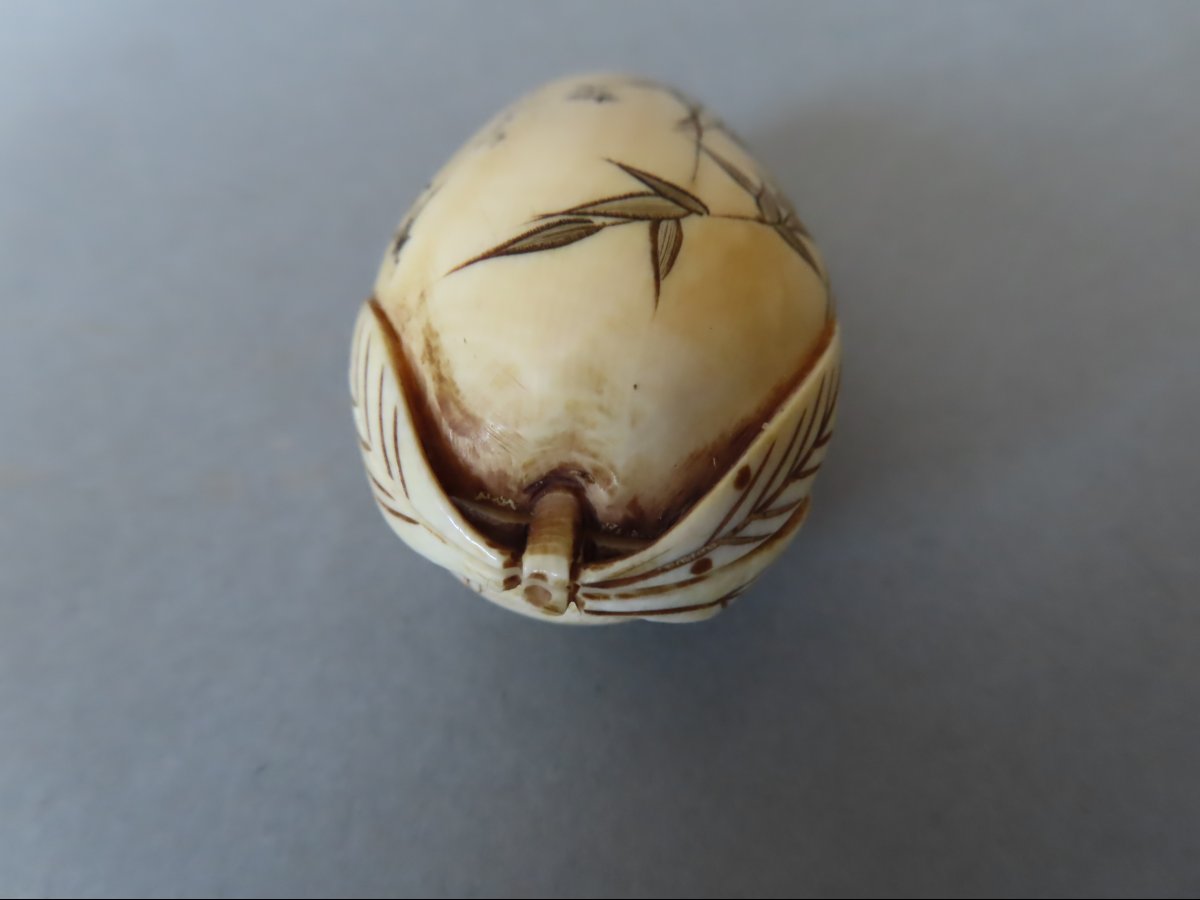 Erotic Ivory Netsuke. The Forbidden Fruit. Curiosa.  Japan, Taisho Period (1912–1928)-photo-4