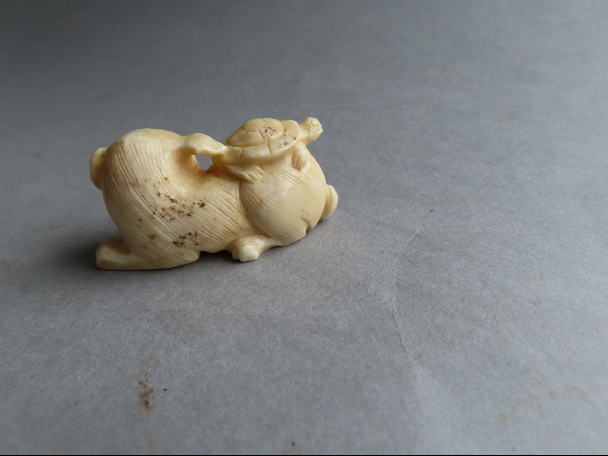 Netsuke Made Of Marine Ivory. Puppy And Turtle. Meiji Period, Japan (1868–1912)-photo-3