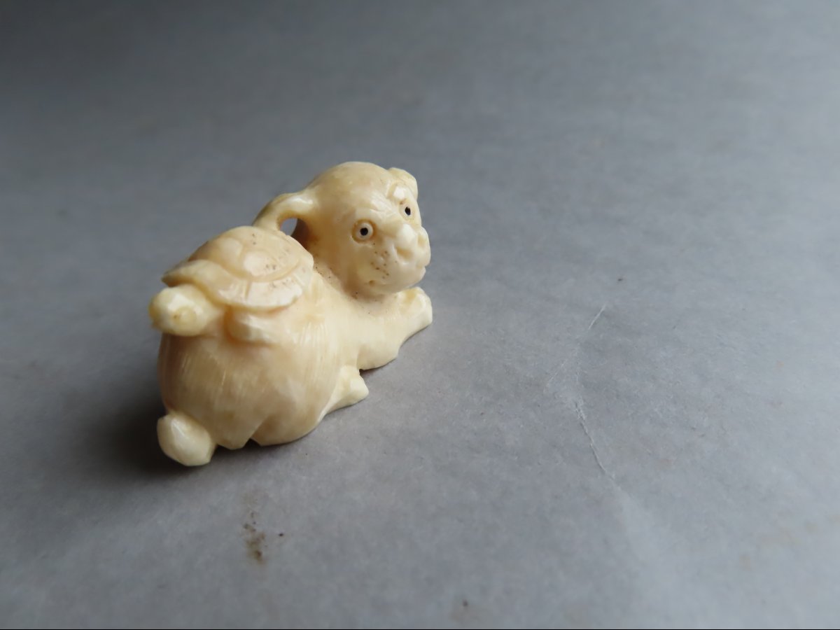 Netsuke Made Of Marine Ivory. Puppy And Turtle. Meiji Period, Japan (1868–1912)-photo-1