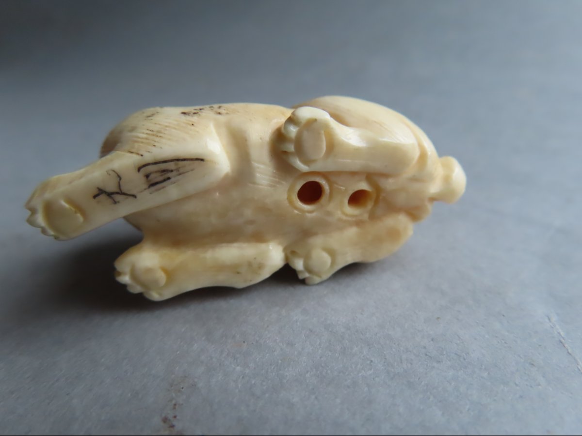 Netsuke Made Of Marine Ivory. Puppy And Turtle. Meiji Period, Japan (1868–1912)-photo-2