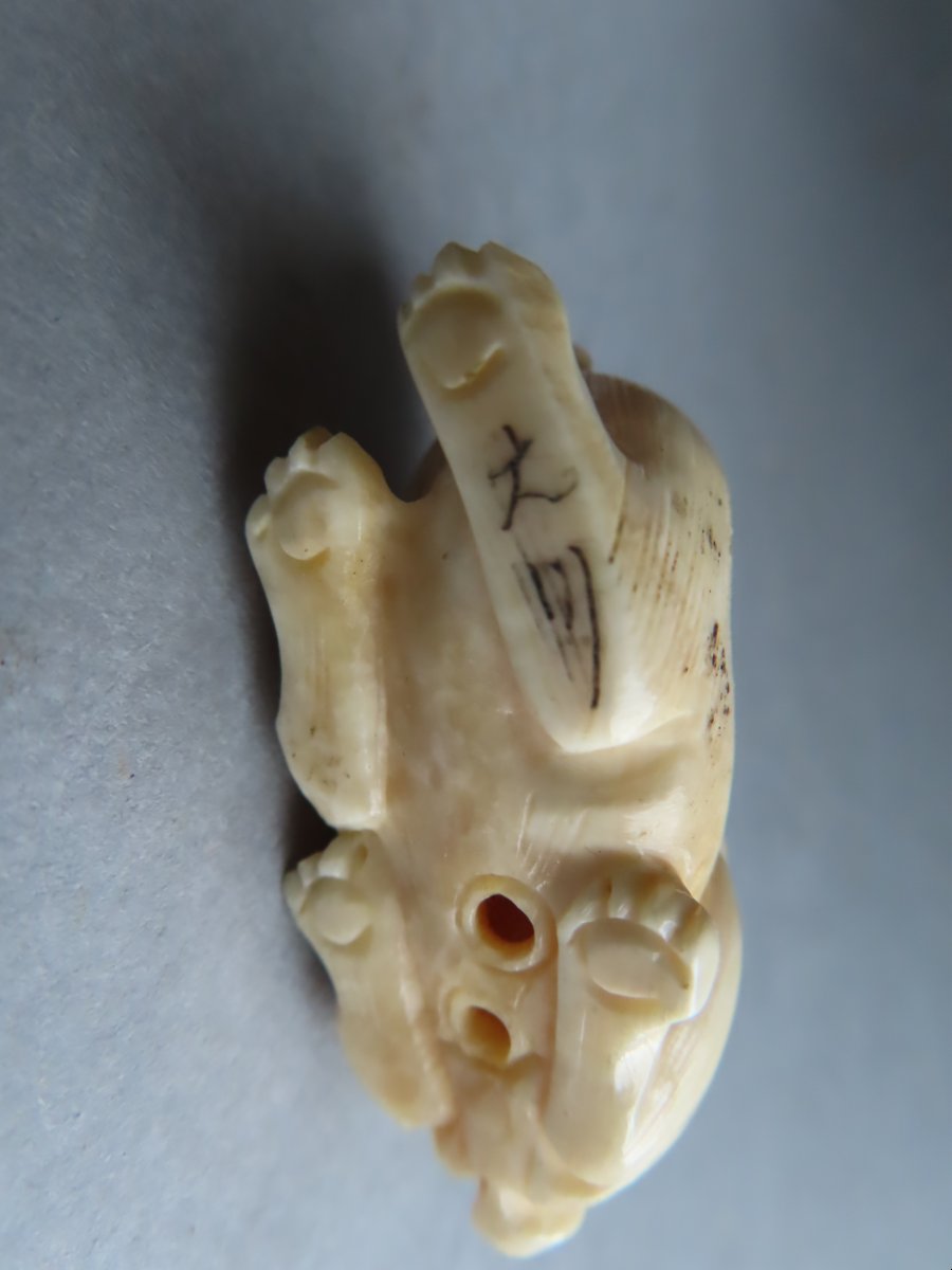 Netsuke Made Of Marine Ivory. Puppy And Turtle. Meiji Period, Japan (1868–1912)-photo-3