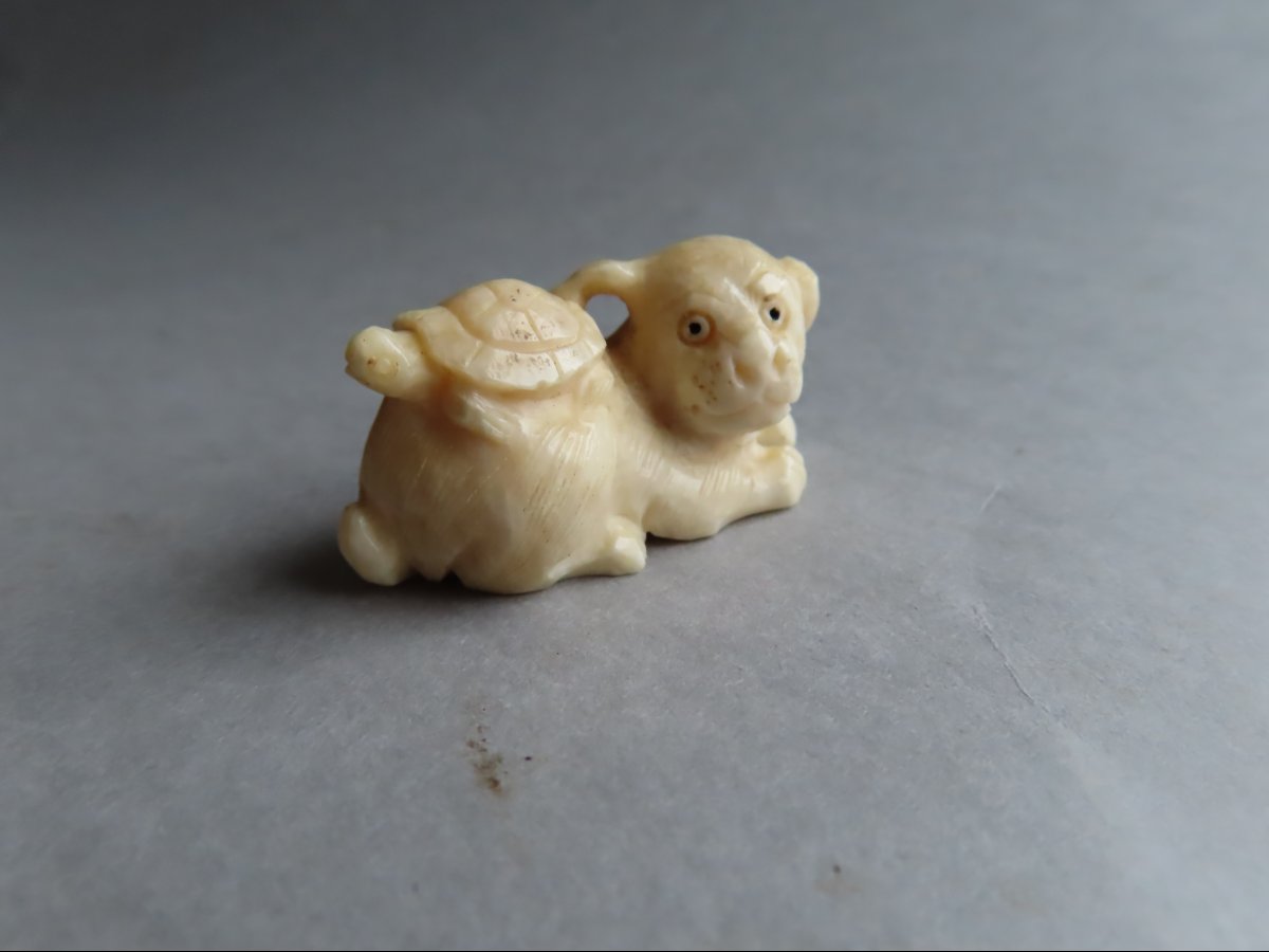 Netsuke Made Of Marine Ivory. Puppy And Turtle. Meiji Period, Japan (1868–1912)