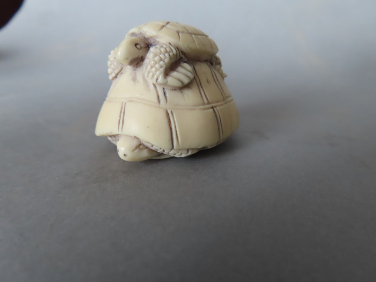 Ivory Netsuke. Turtles. Meiji Period, Japan (1868–1912)-photo-2
