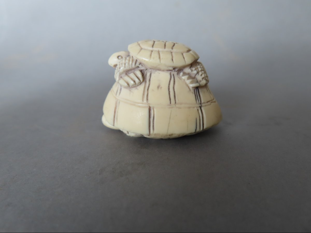 Ivory Netsuke. Turtles. Meiji Period, Japan (1868–1912)-photo-4